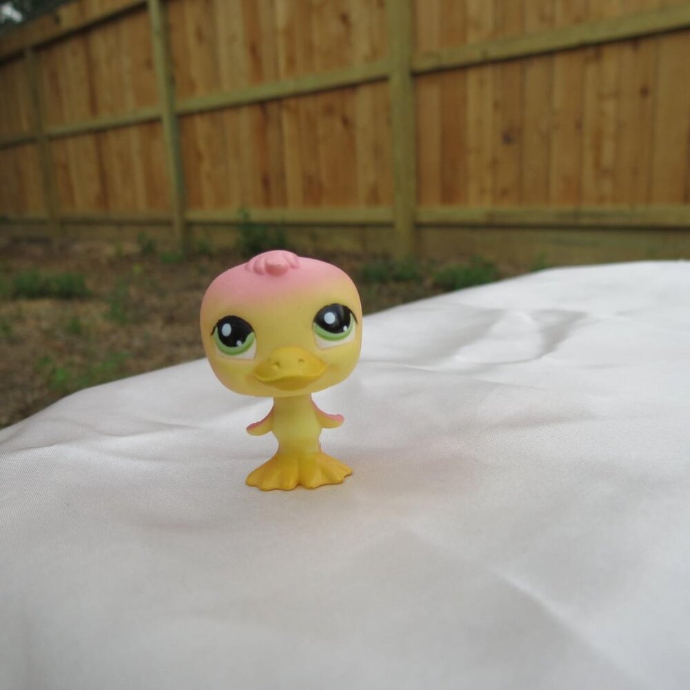 littlest pet shop🐥🐤💘